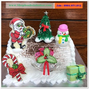Bánh Kem Tặng Ngày Giáng Sinh - BR08